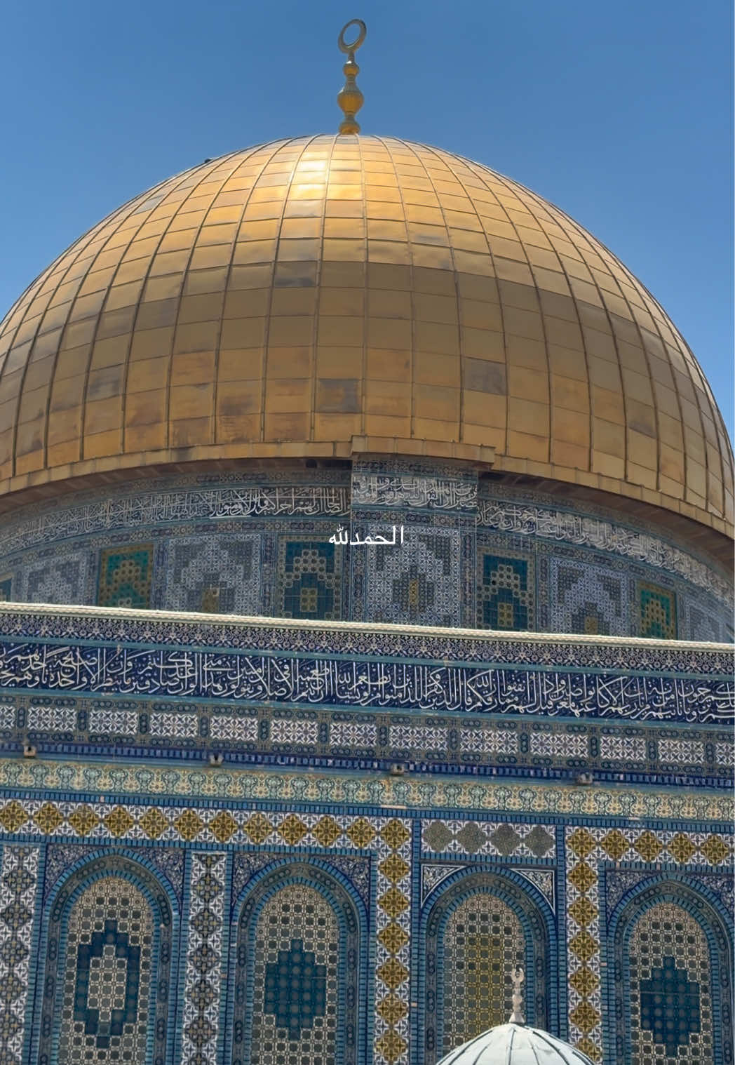 @Mohammad Saleh 🇵🇸