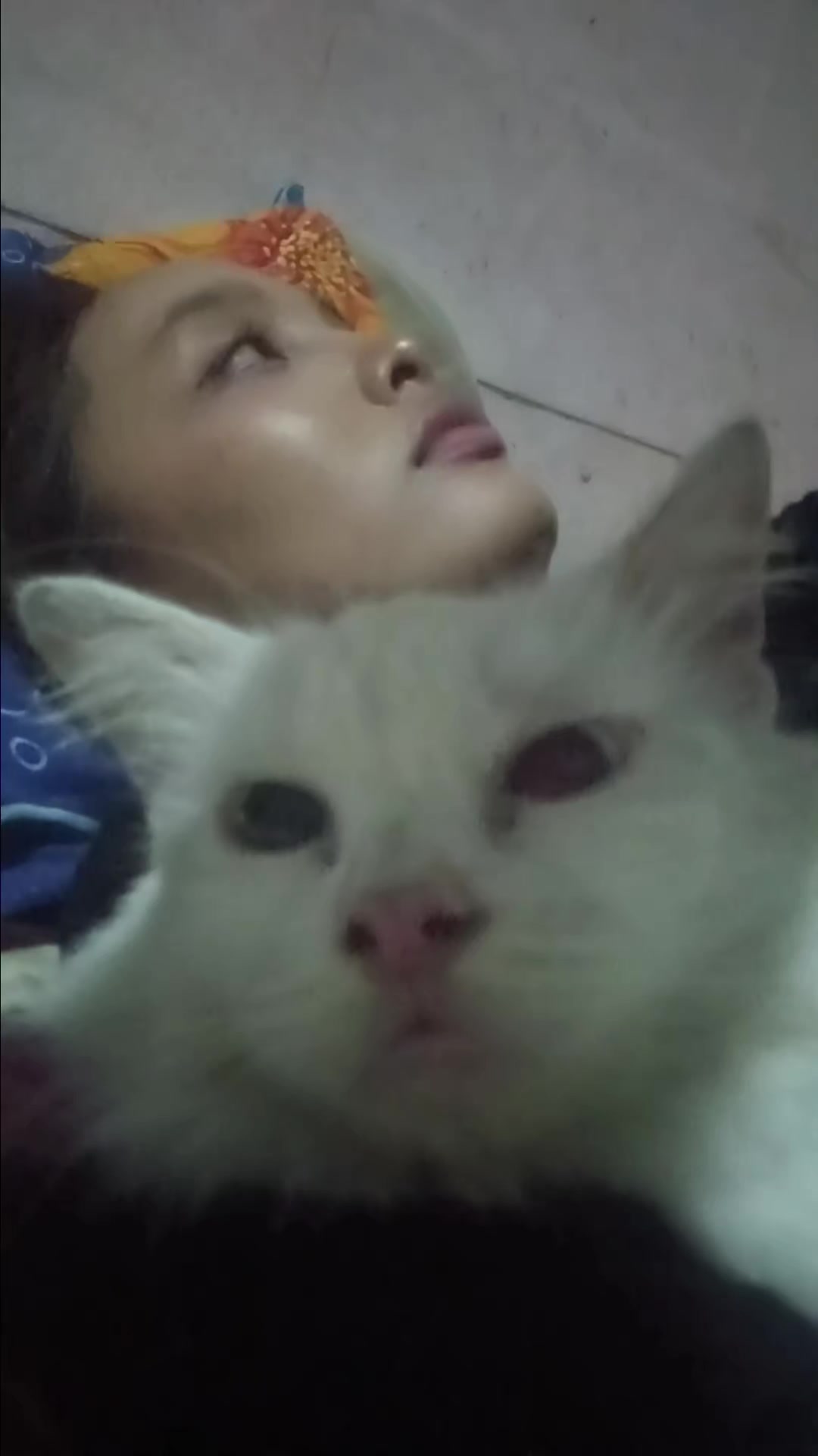 @douwiiifr