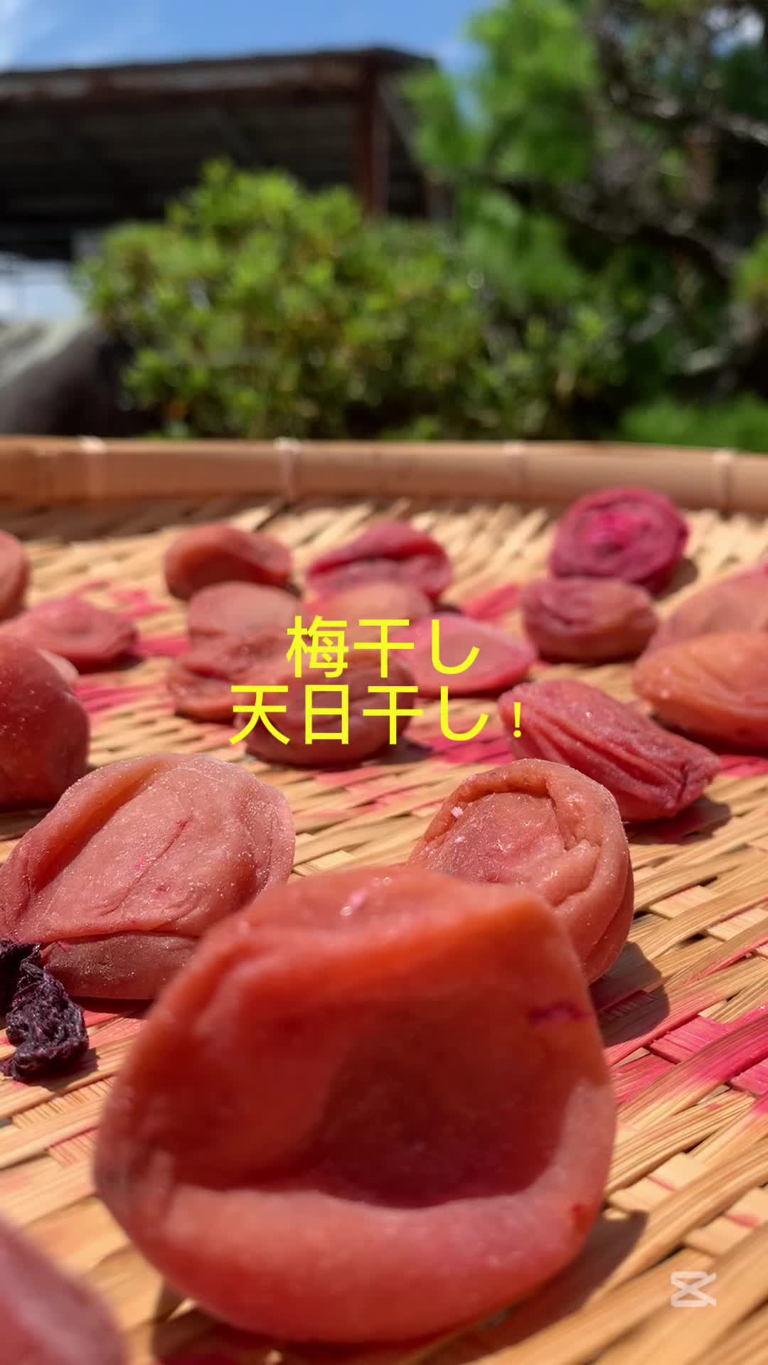 @マルン