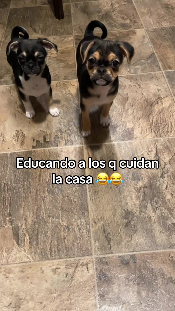 @Norberto Ortiz