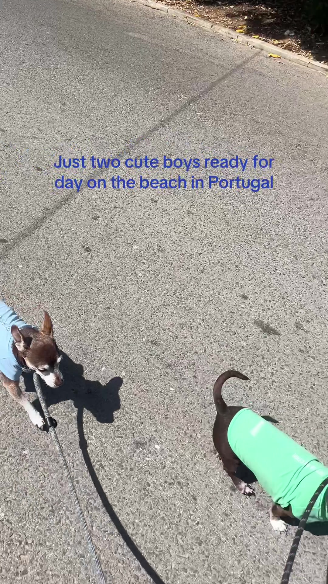 @Taylor & Mike: Life Abroad🇵🇹