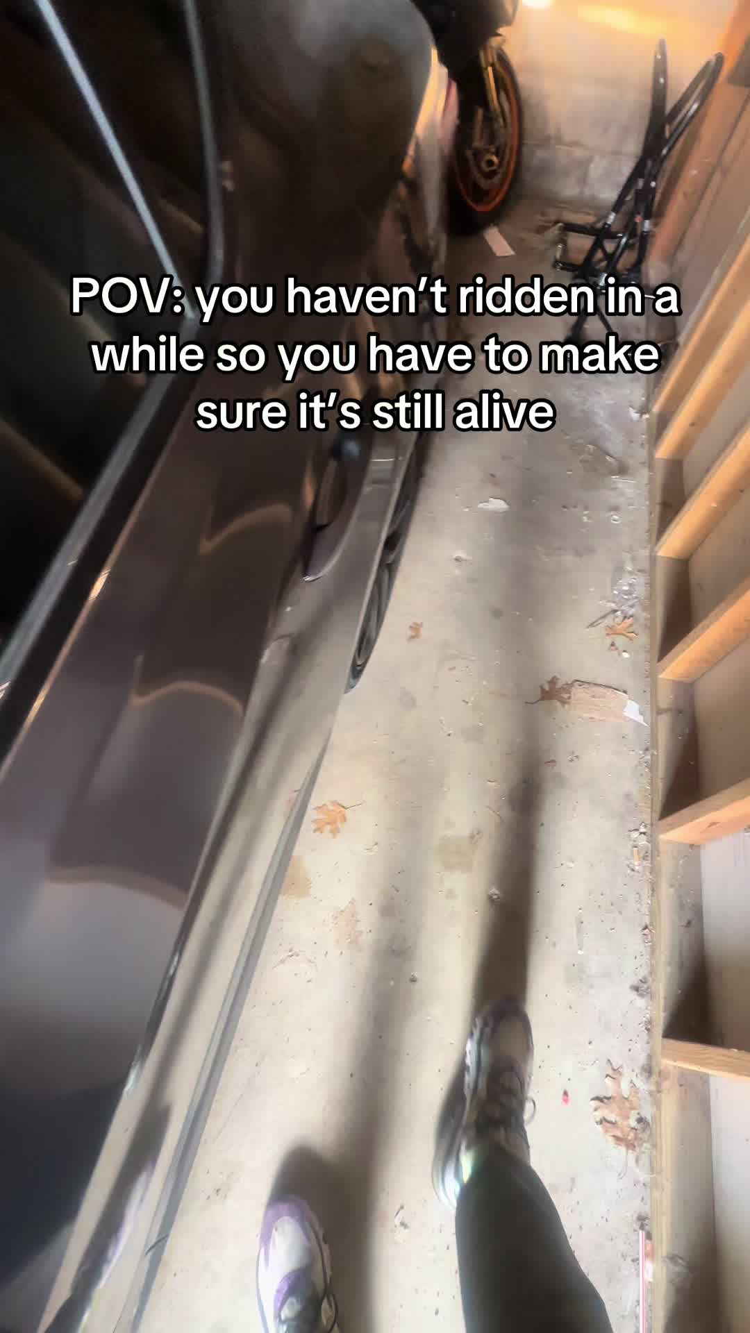 @zxlonnie