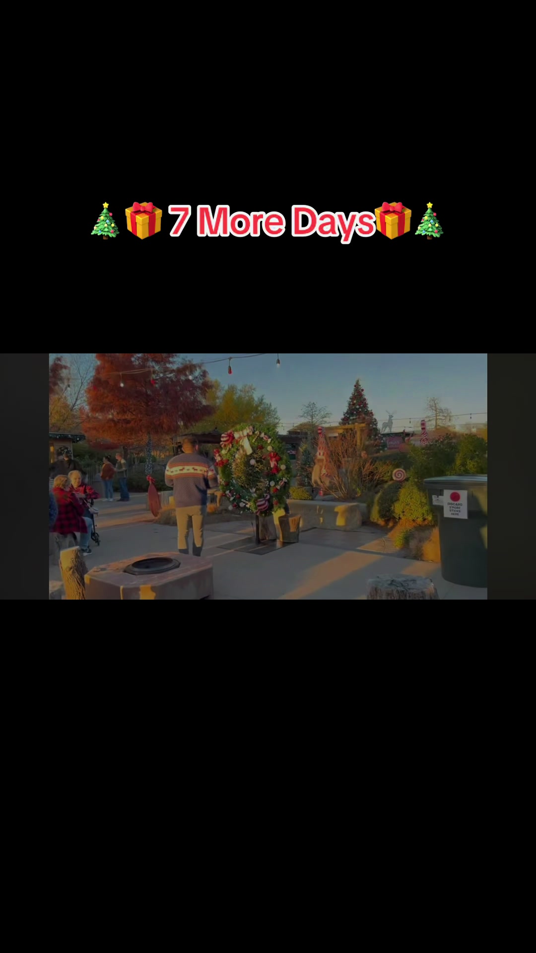 @christmas.tree65