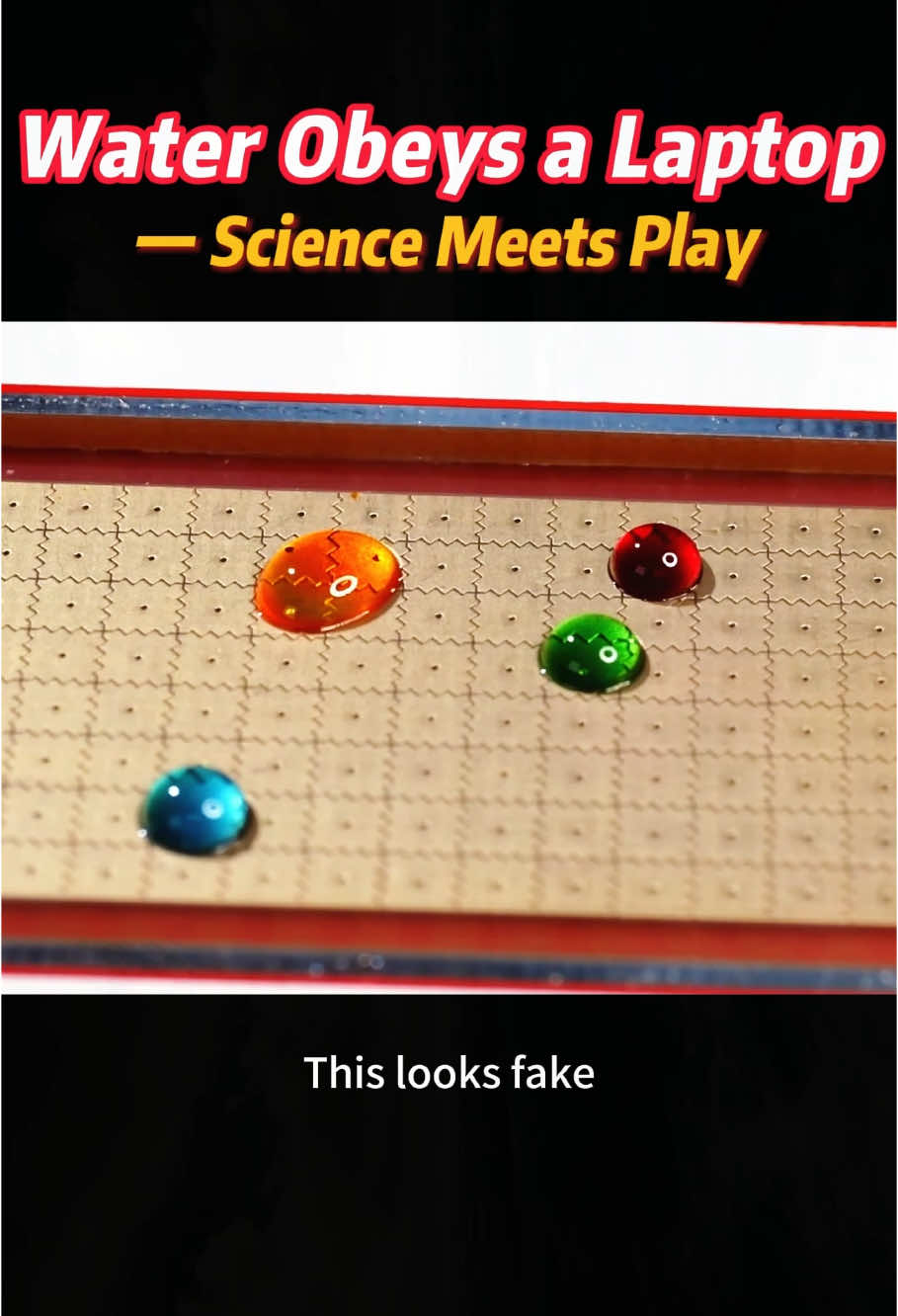 @LeeJason