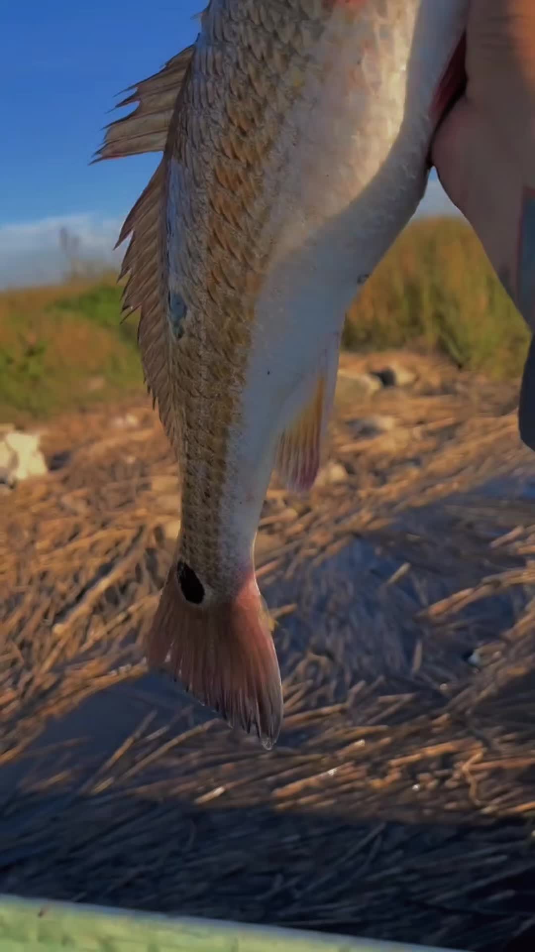 @SALTWATER SAB OUTDOORS