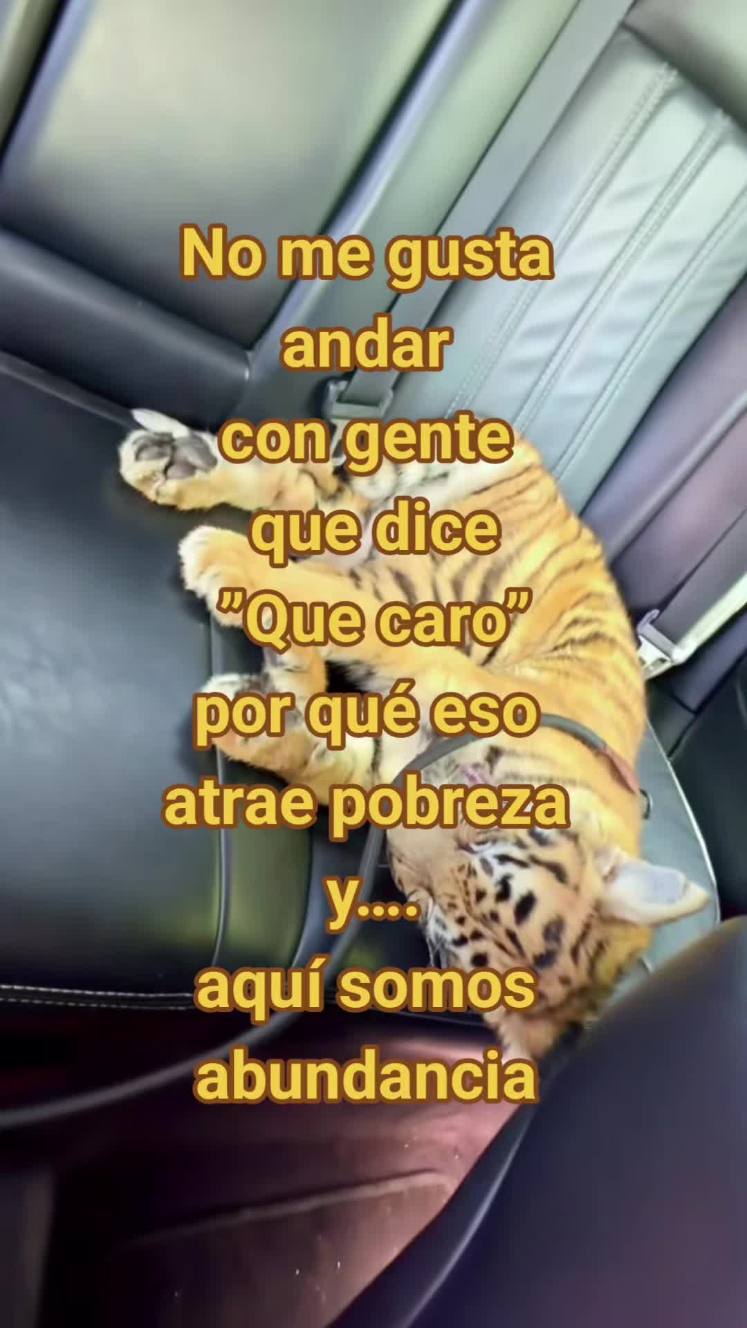 @AlinaStore