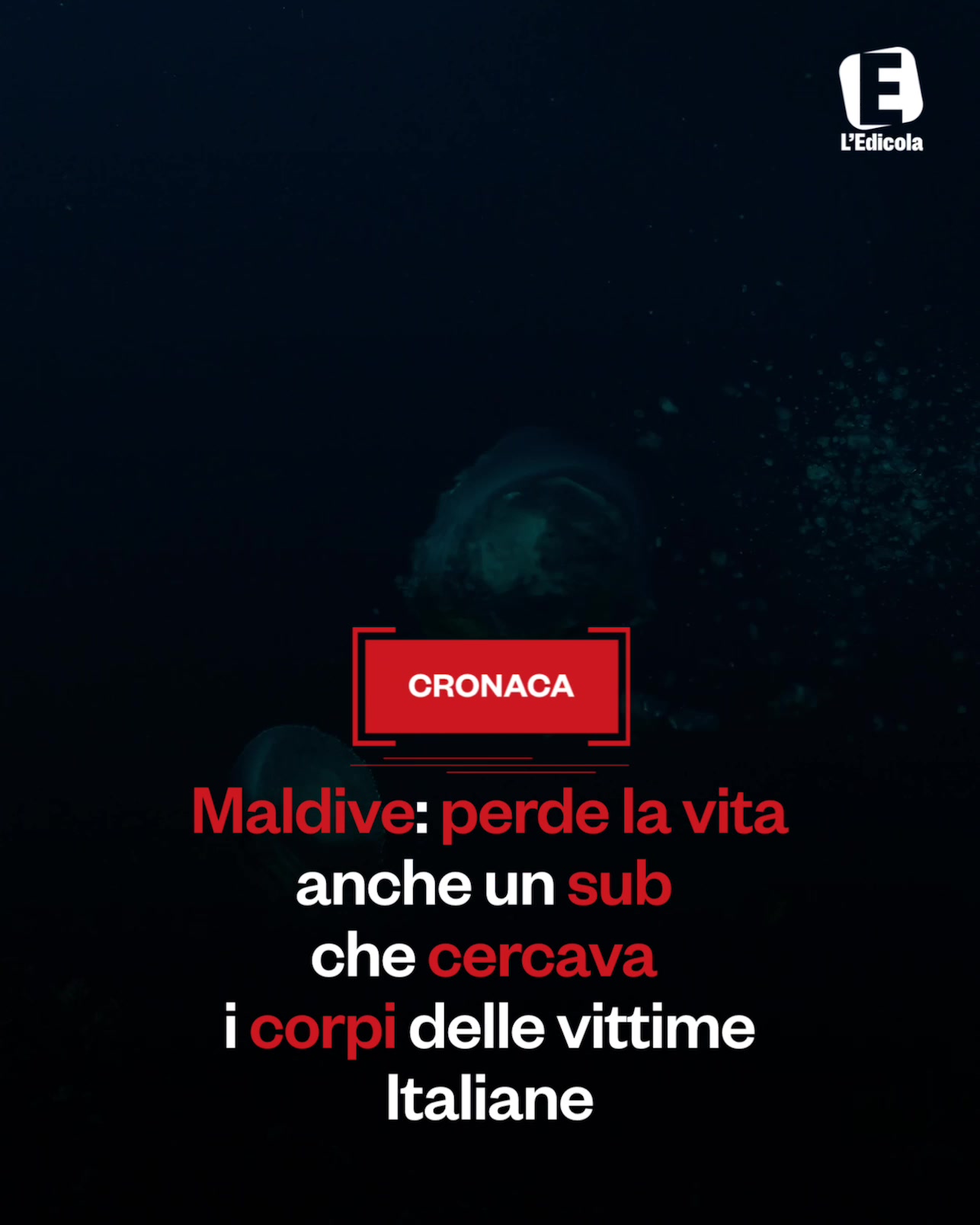 @Ledicola.it