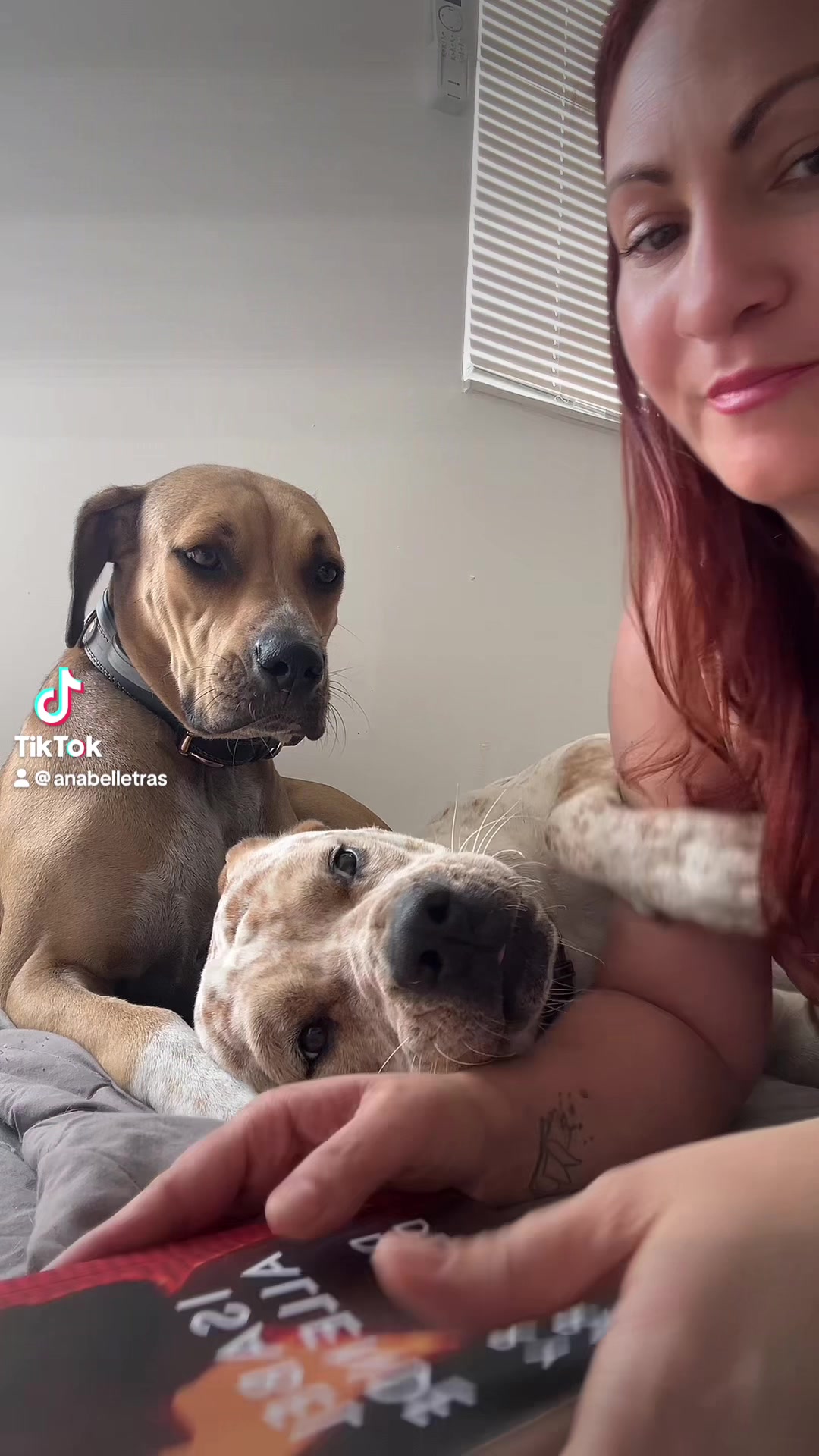@anabelllopezrodri