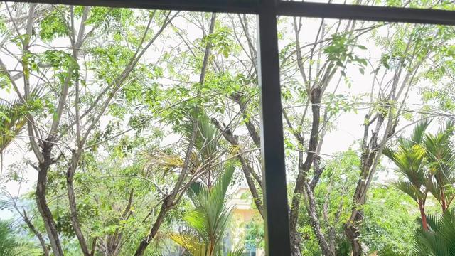 @Hany situmorang