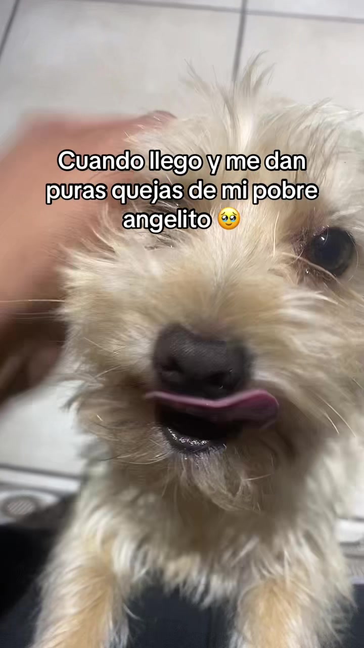 @chifuuu