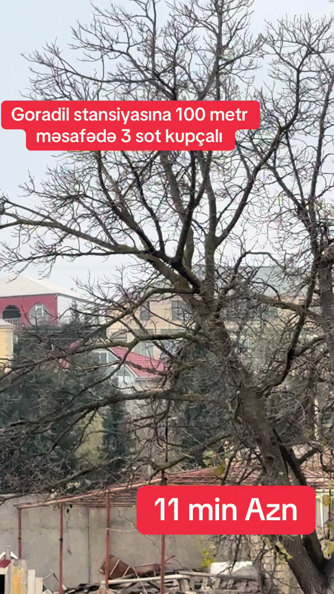 @Novxanı_401_əmlak