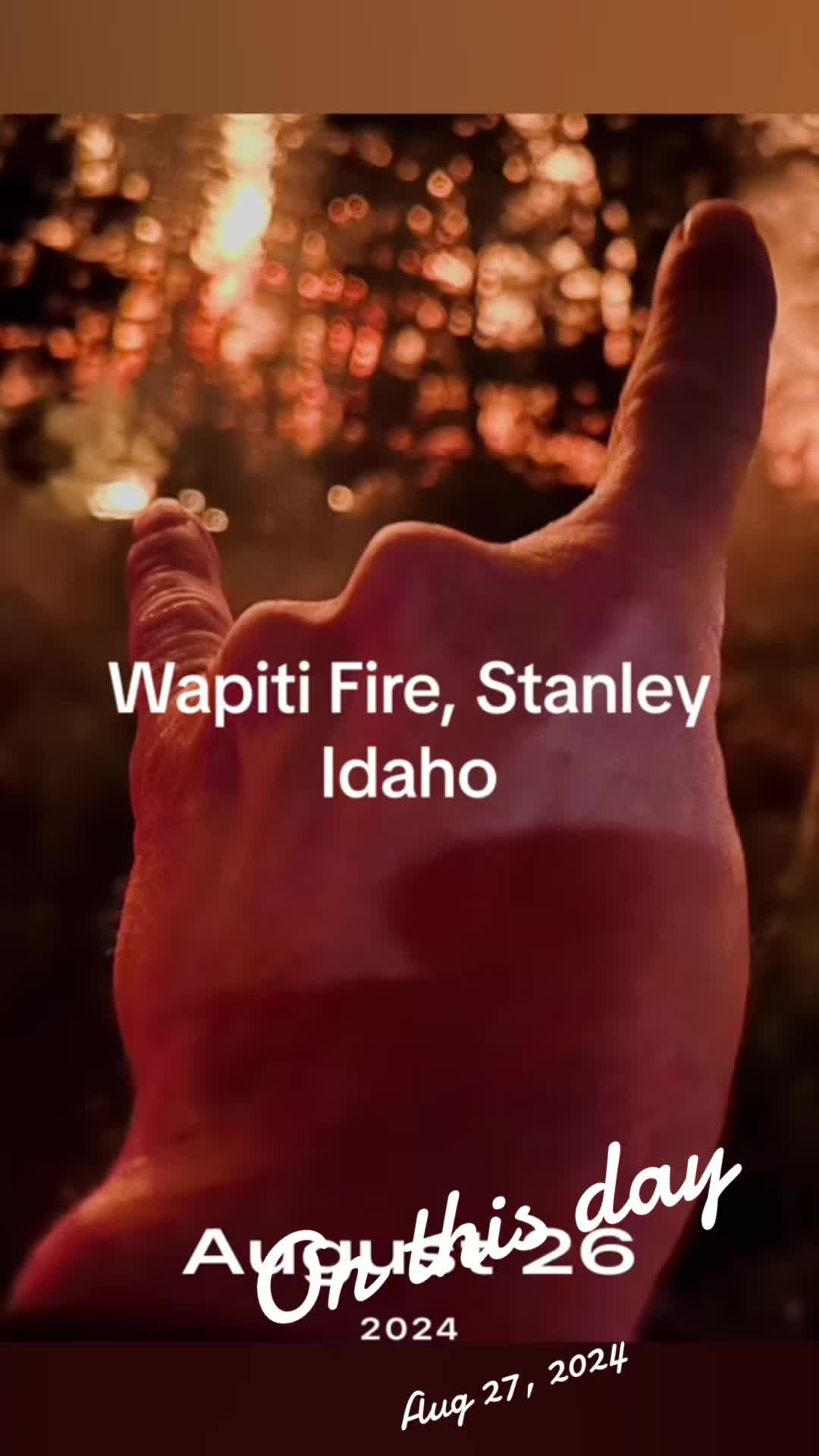 @iamwildland
