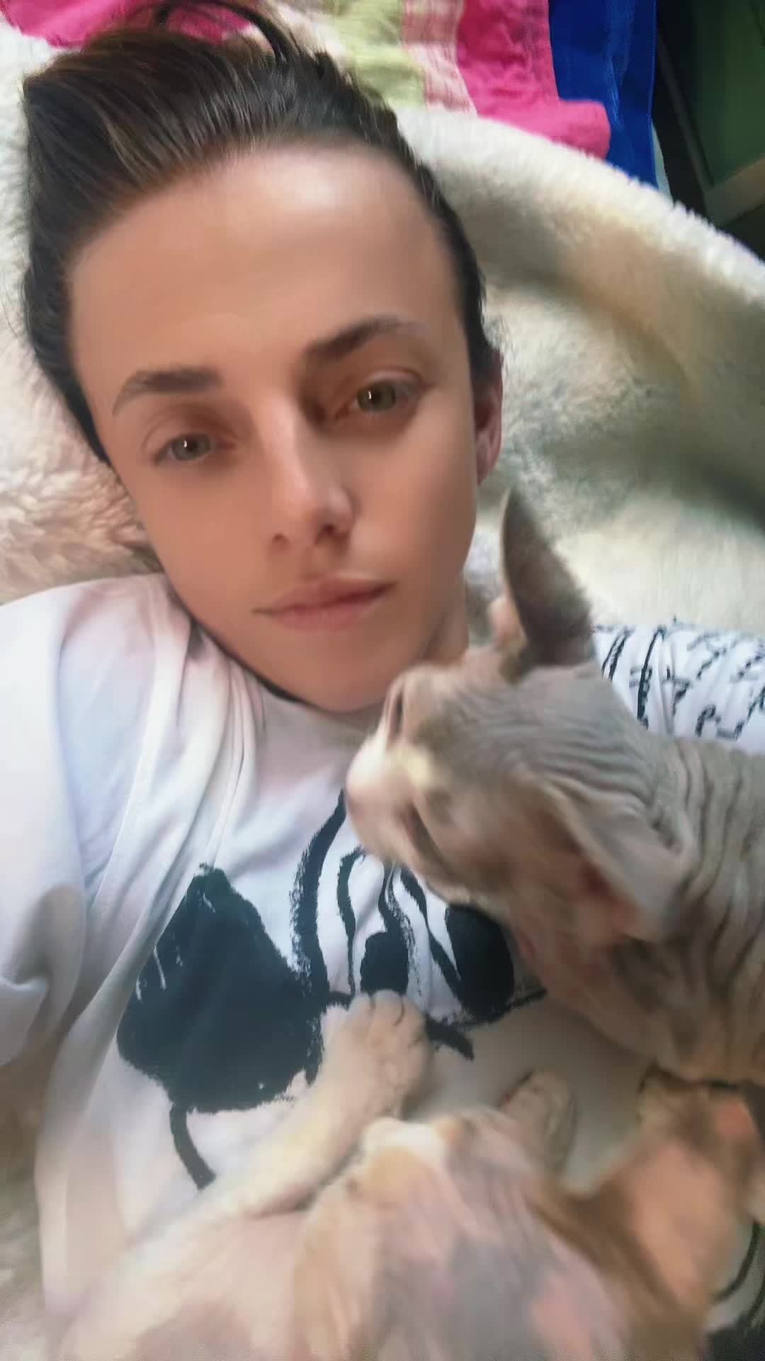 @Curlslux cattery!!๐บ๐ธ