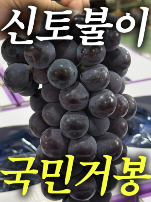 @해운대송사장