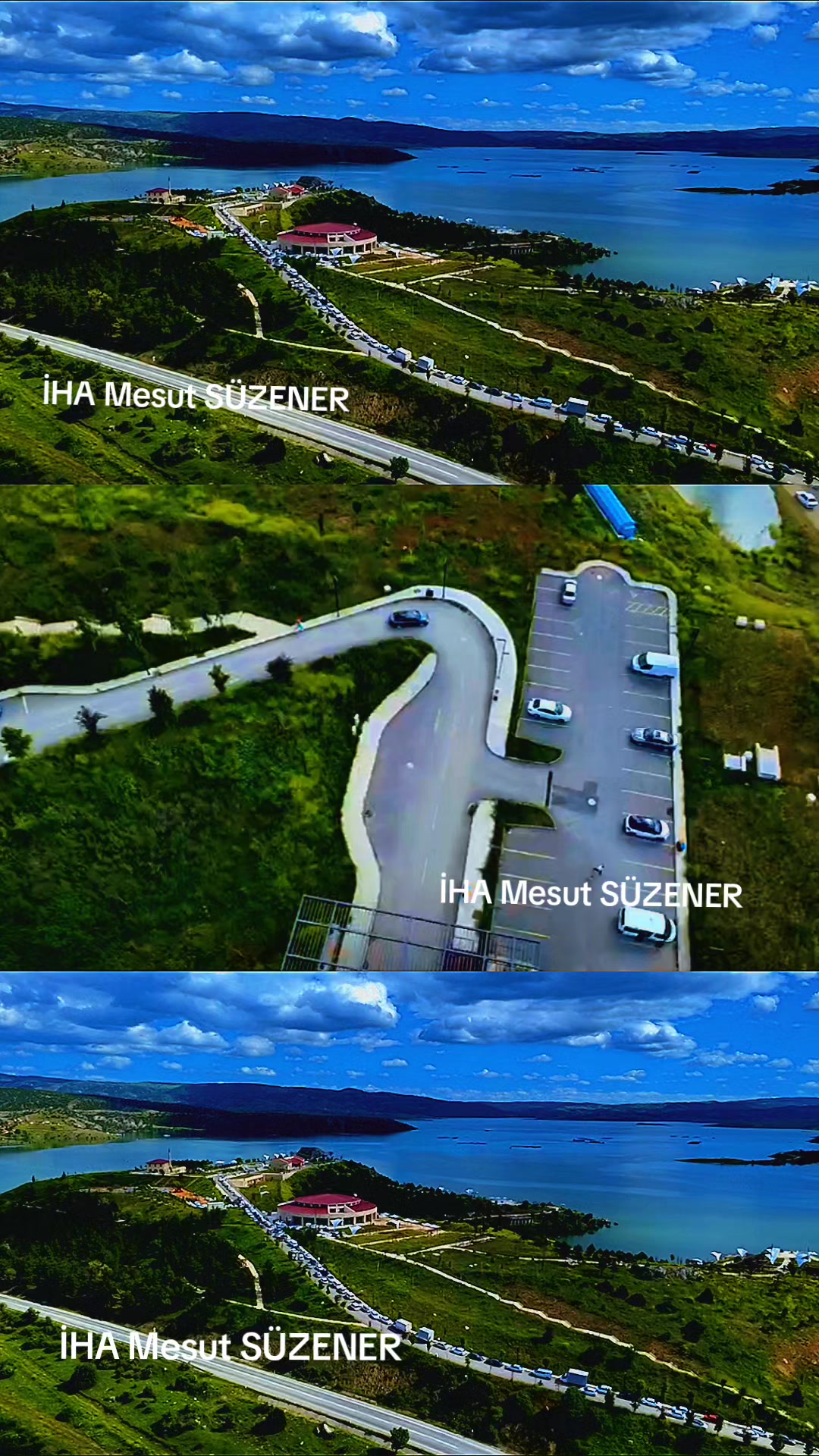 @mesut s&uuml;zener