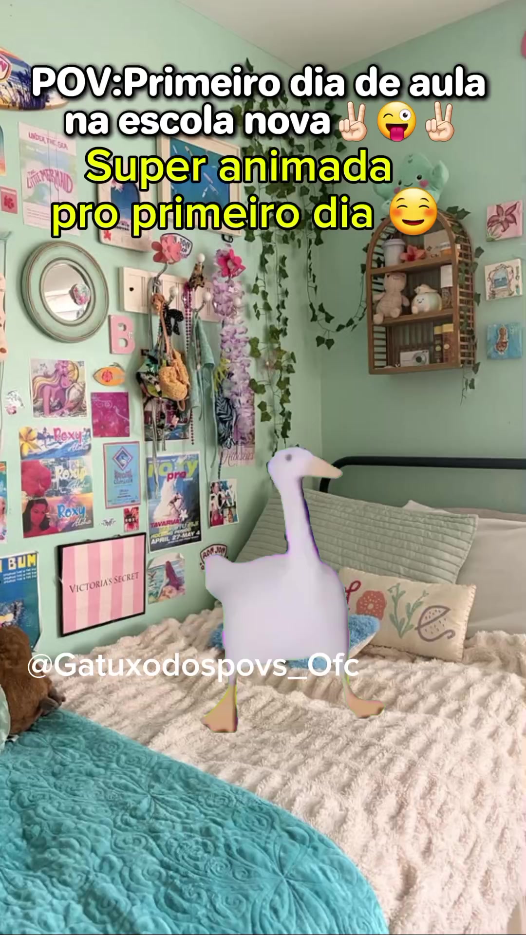 @Gatuxo Dos Povs Ofc