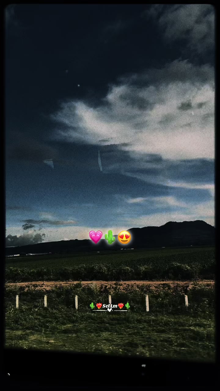 @🌱🦥Sel Lm🦥🌱