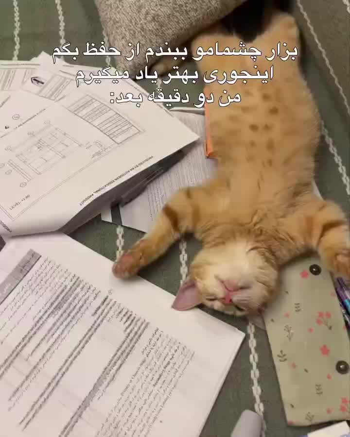 @888.888.888