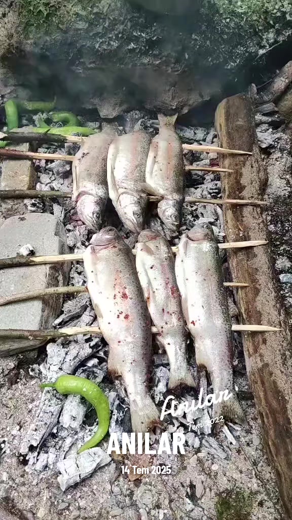 @mikailkurt112