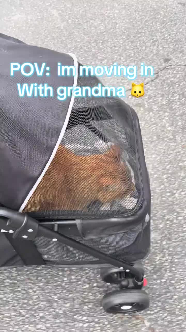 @Pablo & Luigi 🐾