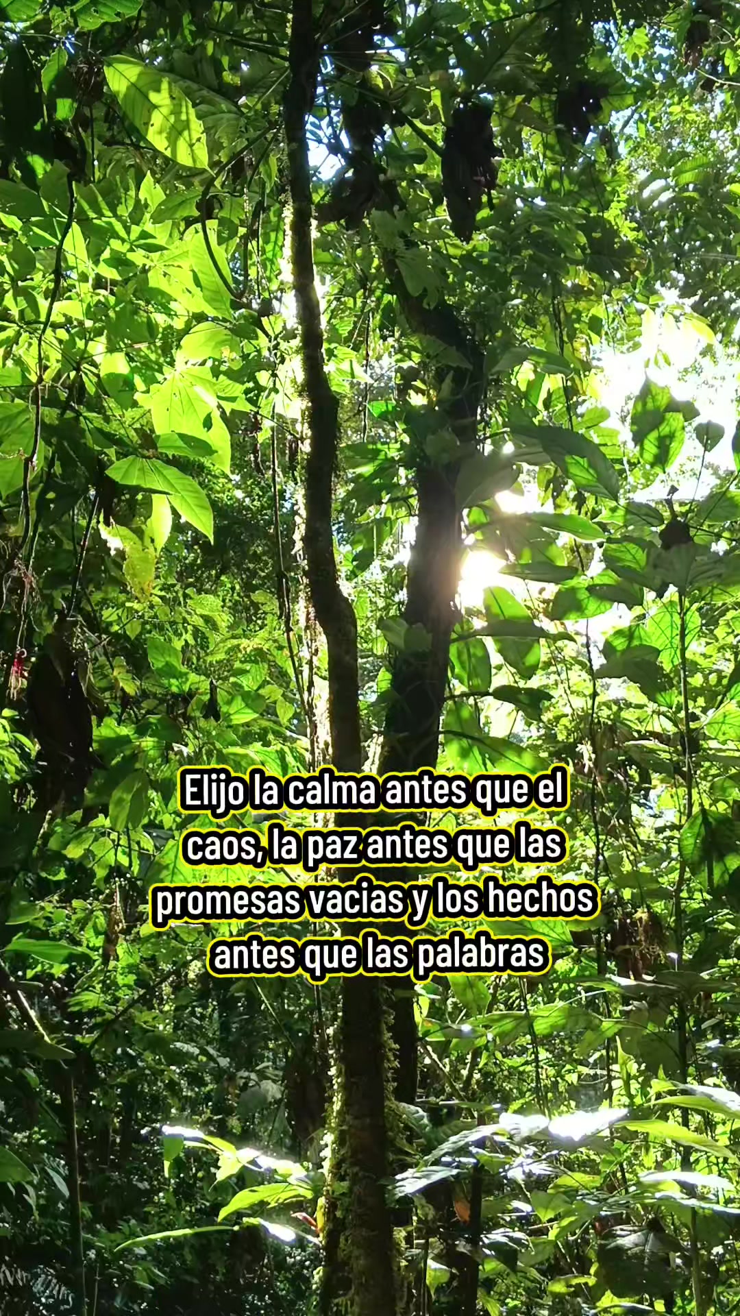 @ALEX AGUINDA ANDI EC 🇪🇨