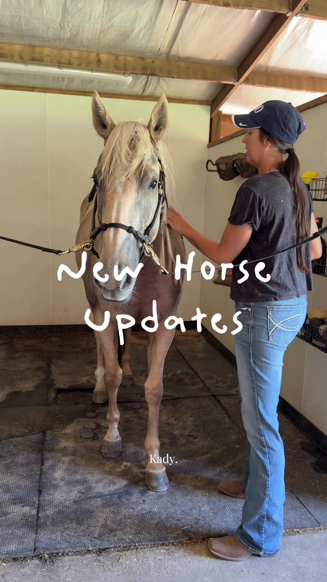 @corderoequine
