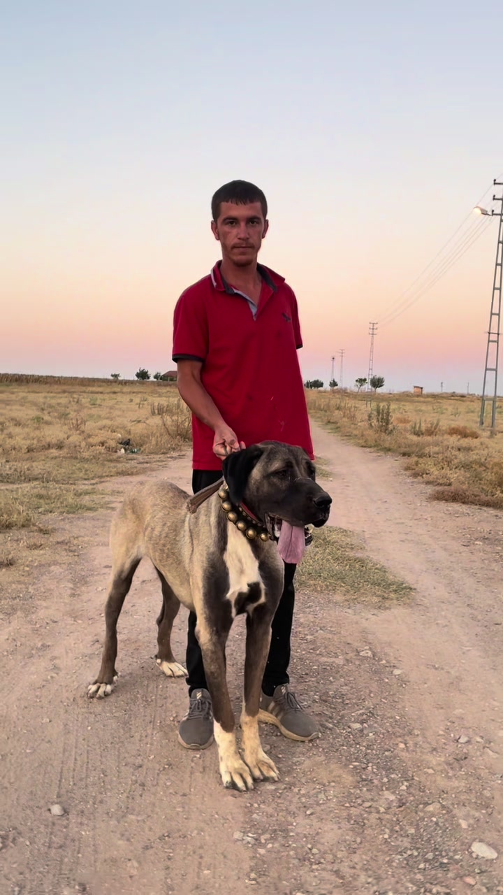@🌹Kamuran Çimen🌹