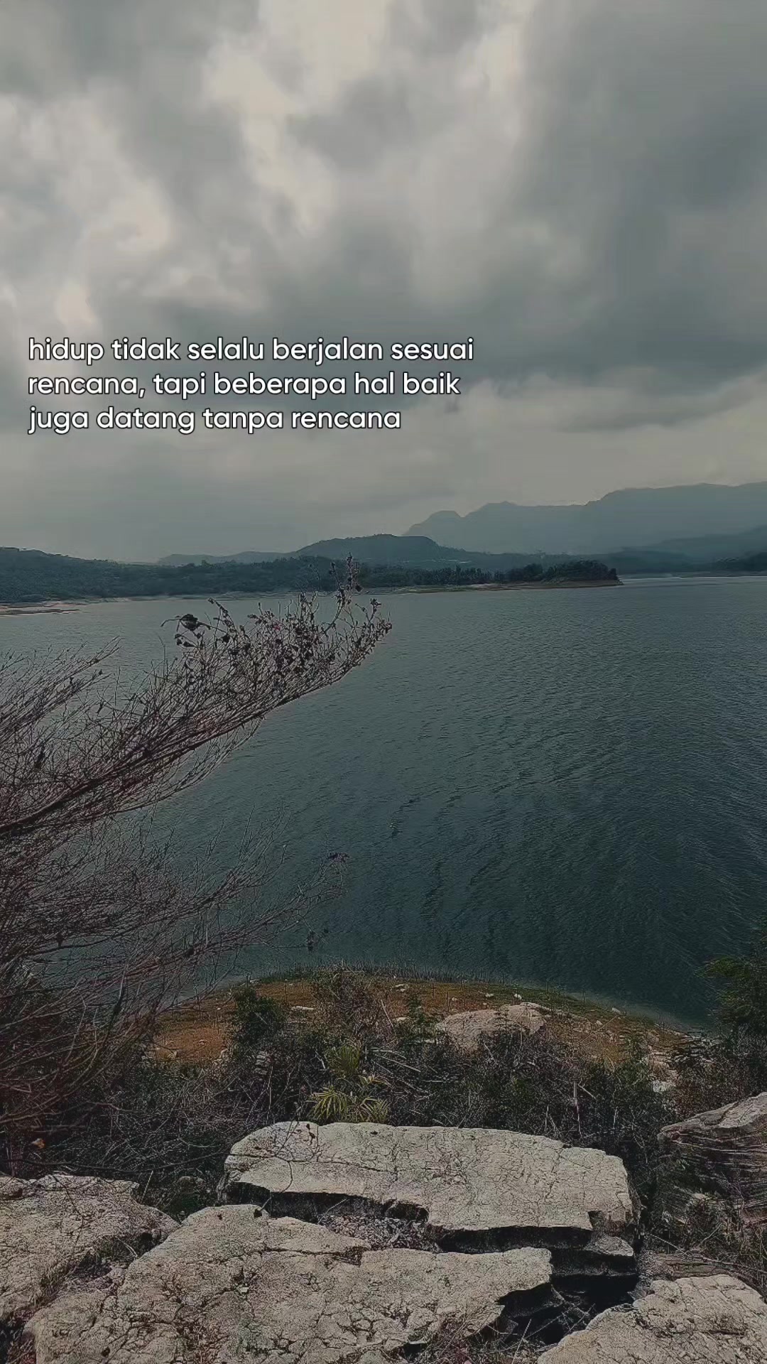 @aagscobra