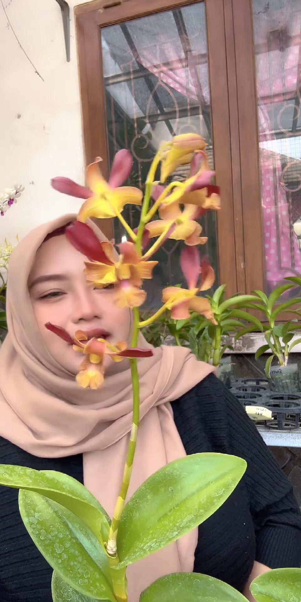 @Anggina Orchid