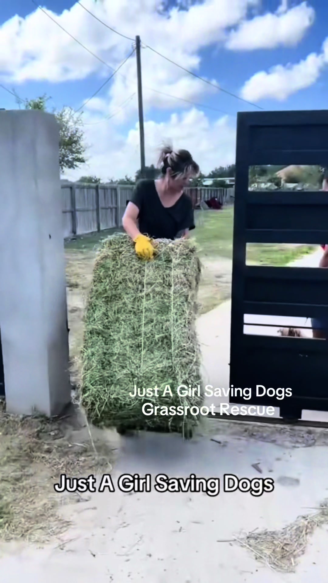 @Just A Girl Saving Dogs