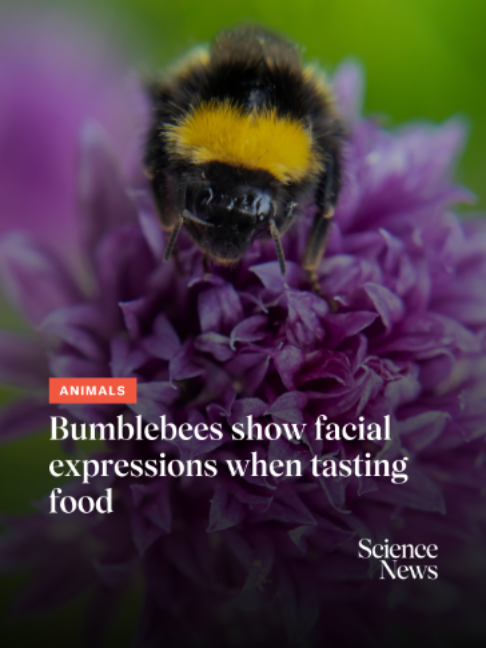 @Science News