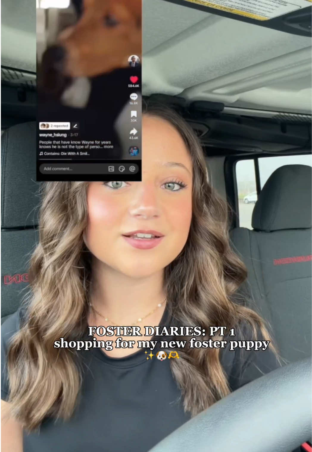 @Sophia Castiblanco