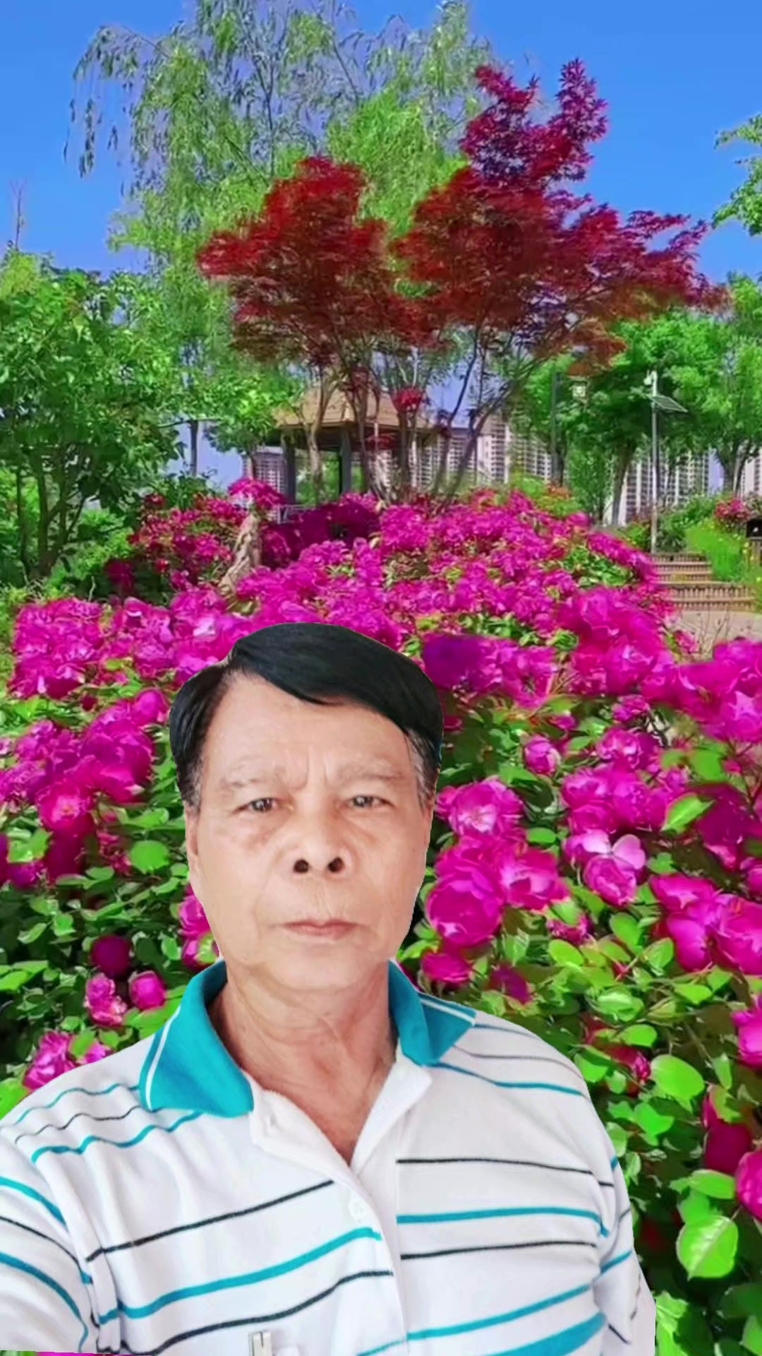 @เพชร ชมภู