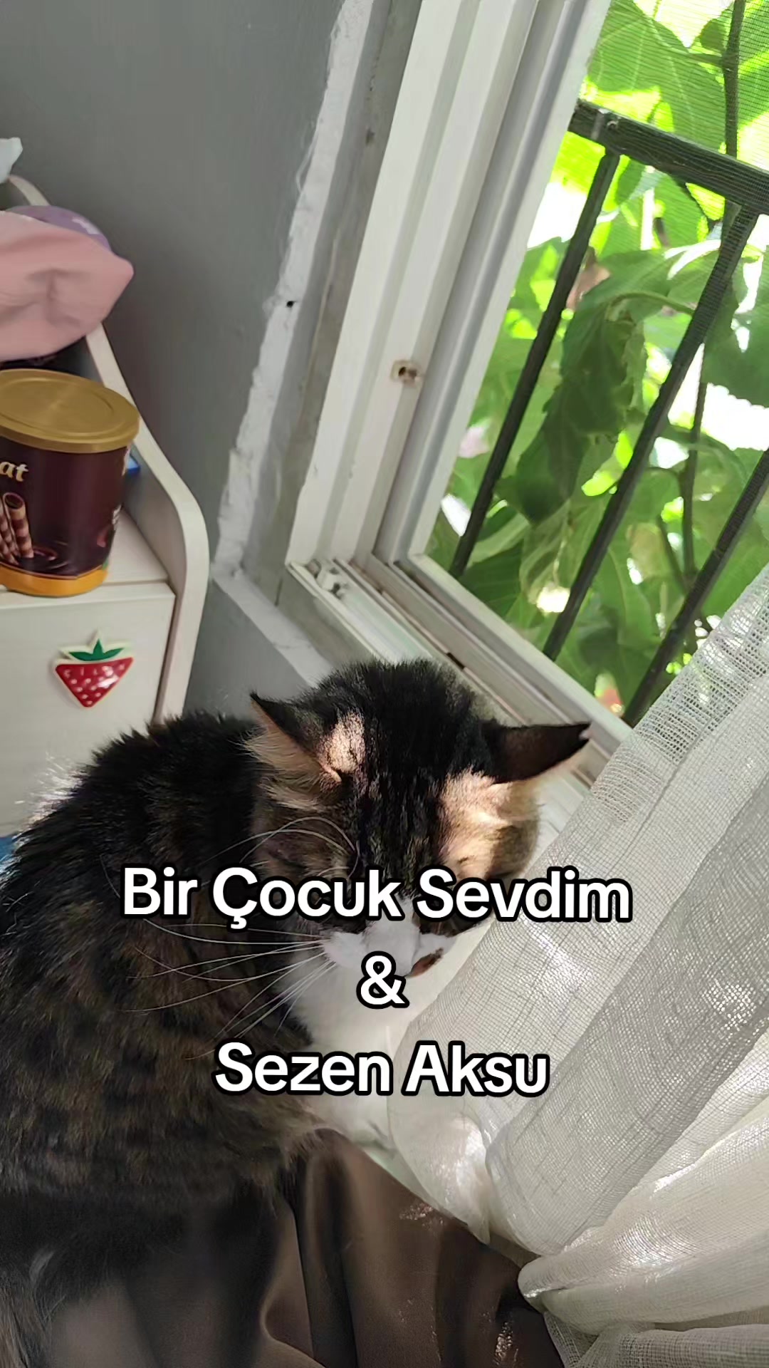 @Ece(Mehmet) Çayırlı