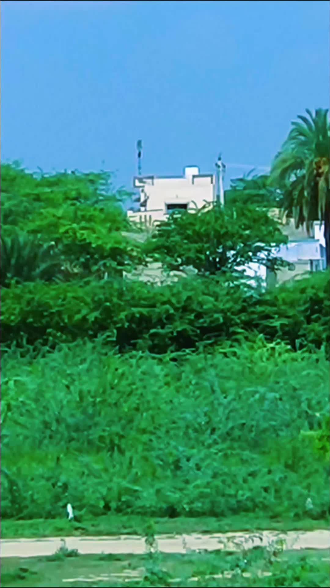 @Munawar Hussain Joyia