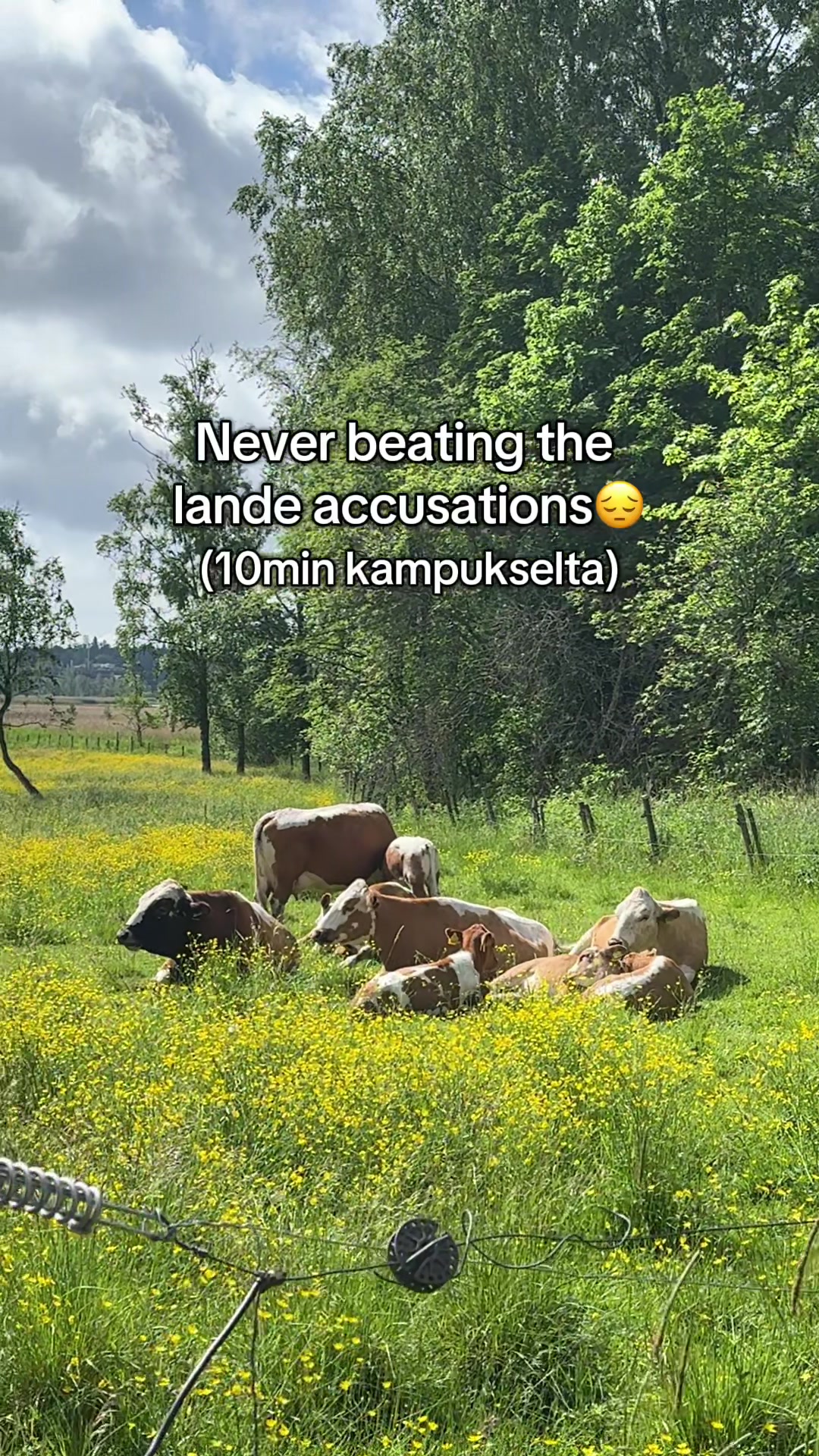 @Aalto University