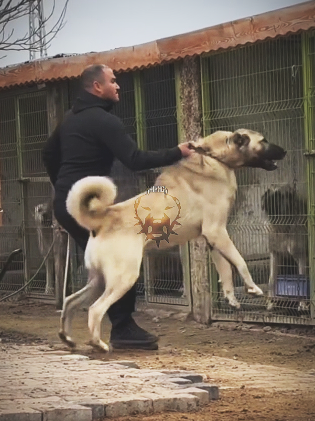 @𝗞𝗔𝗜𝗞𝗔𝗡𝗚𝗔𝗟