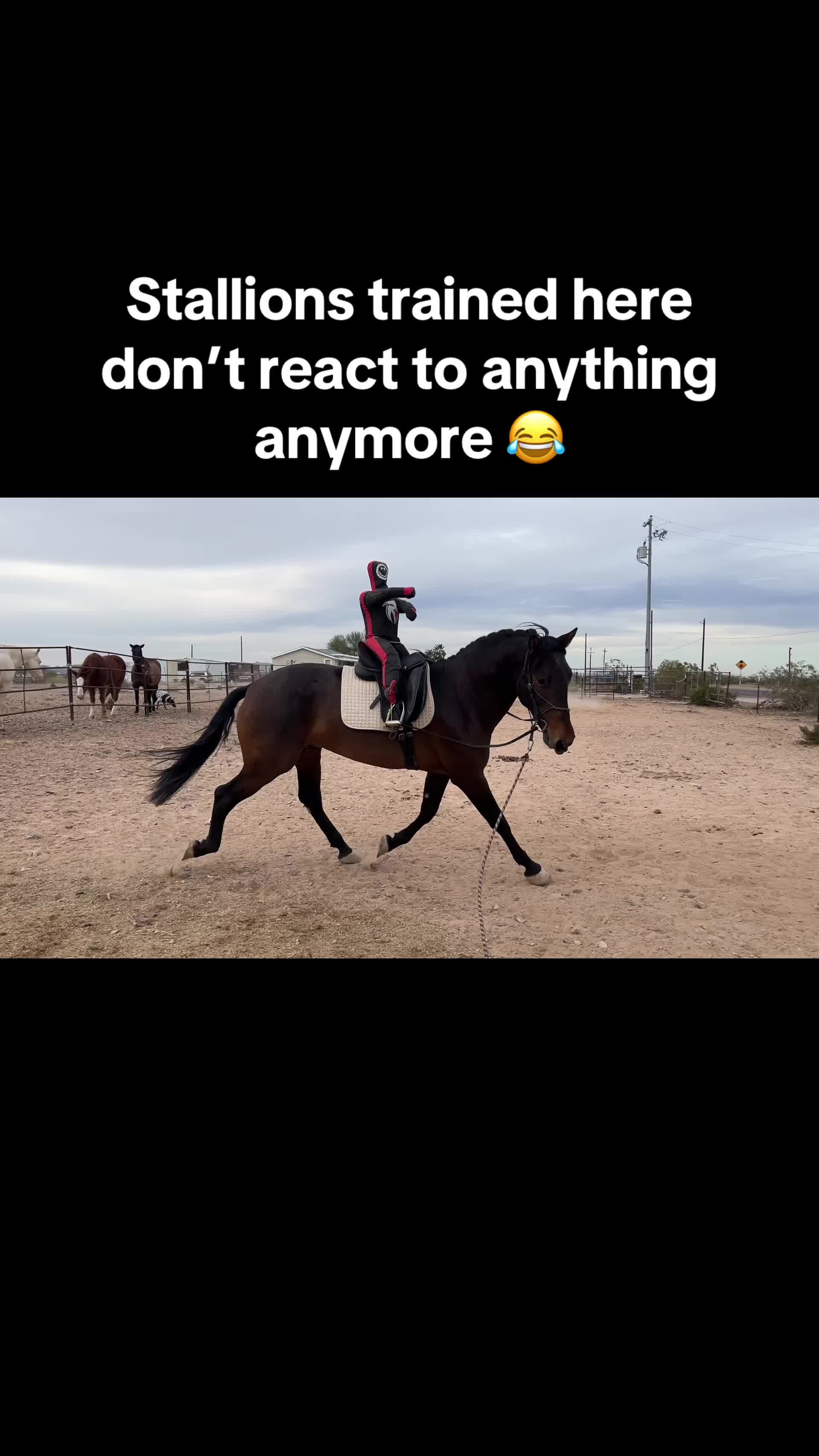 @Ms. Pissyfeet