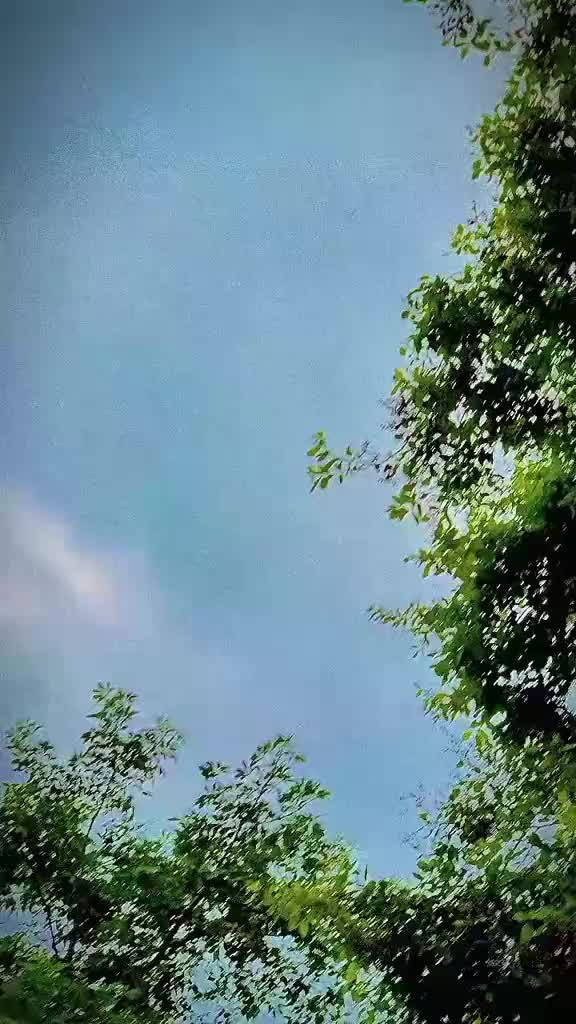 @โ๏ธปใโ
๐๐ ๐ฆ๐ฝÃÑ๐โ
โโไธ