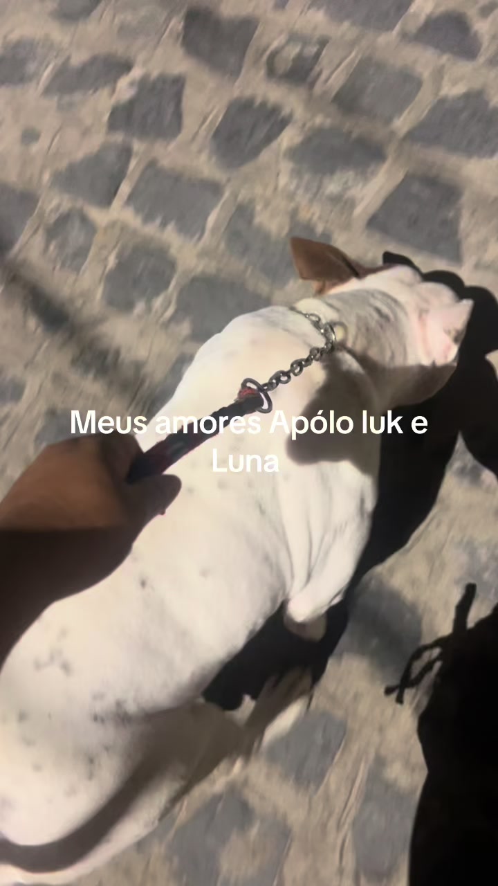 @Marluce Andrade