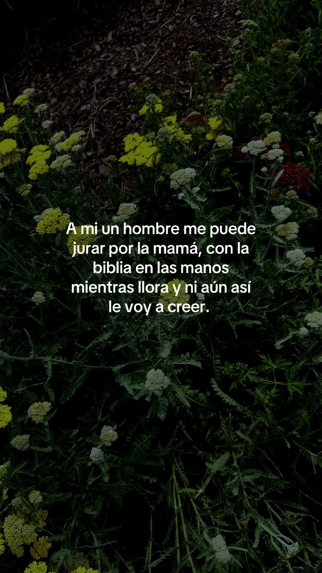 @Less🫦