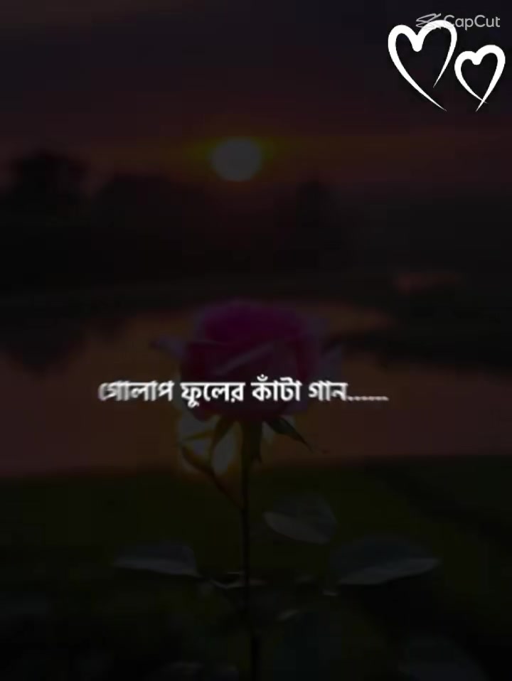 @Sahera Khatun