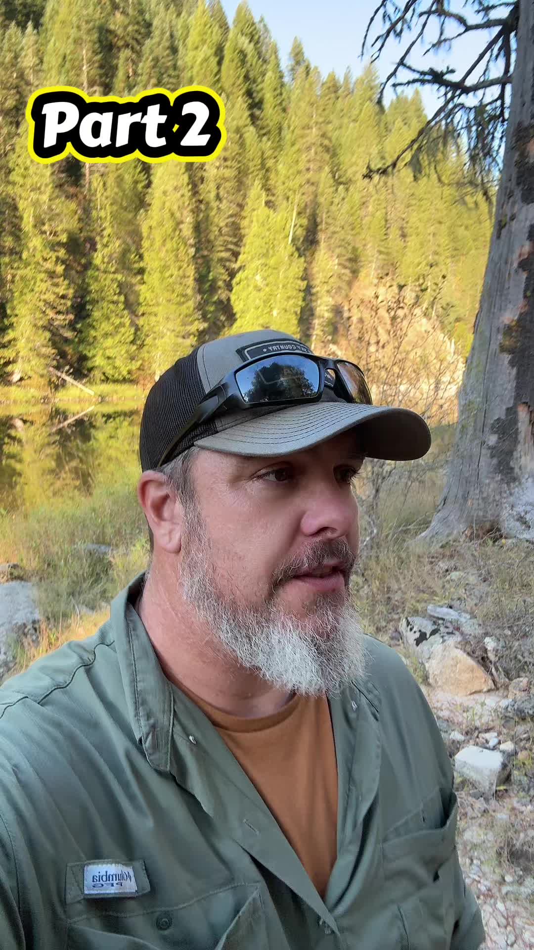 @Archaeowolf