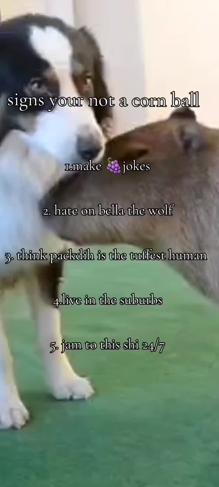 @🦧