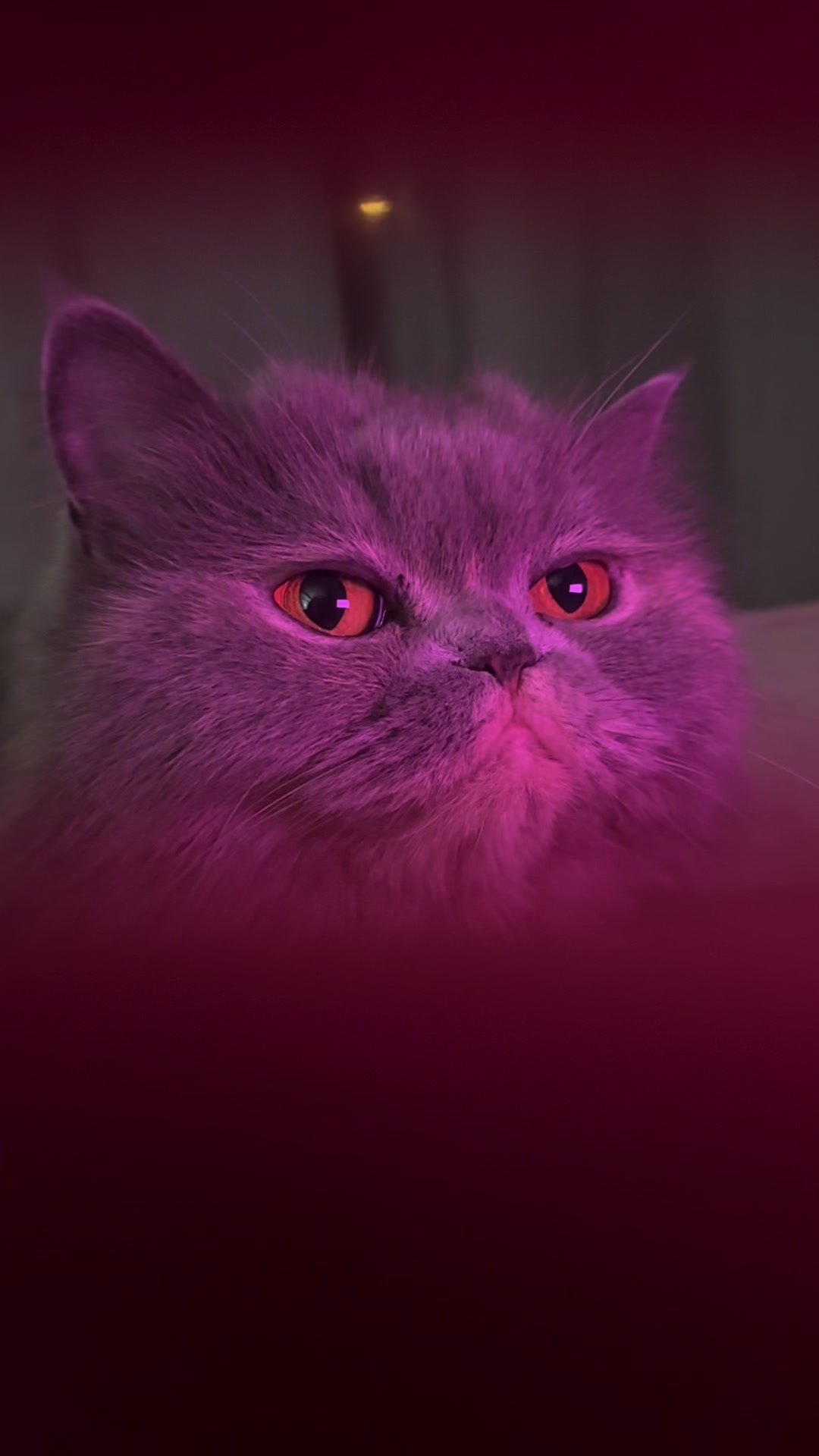 @ısıkk