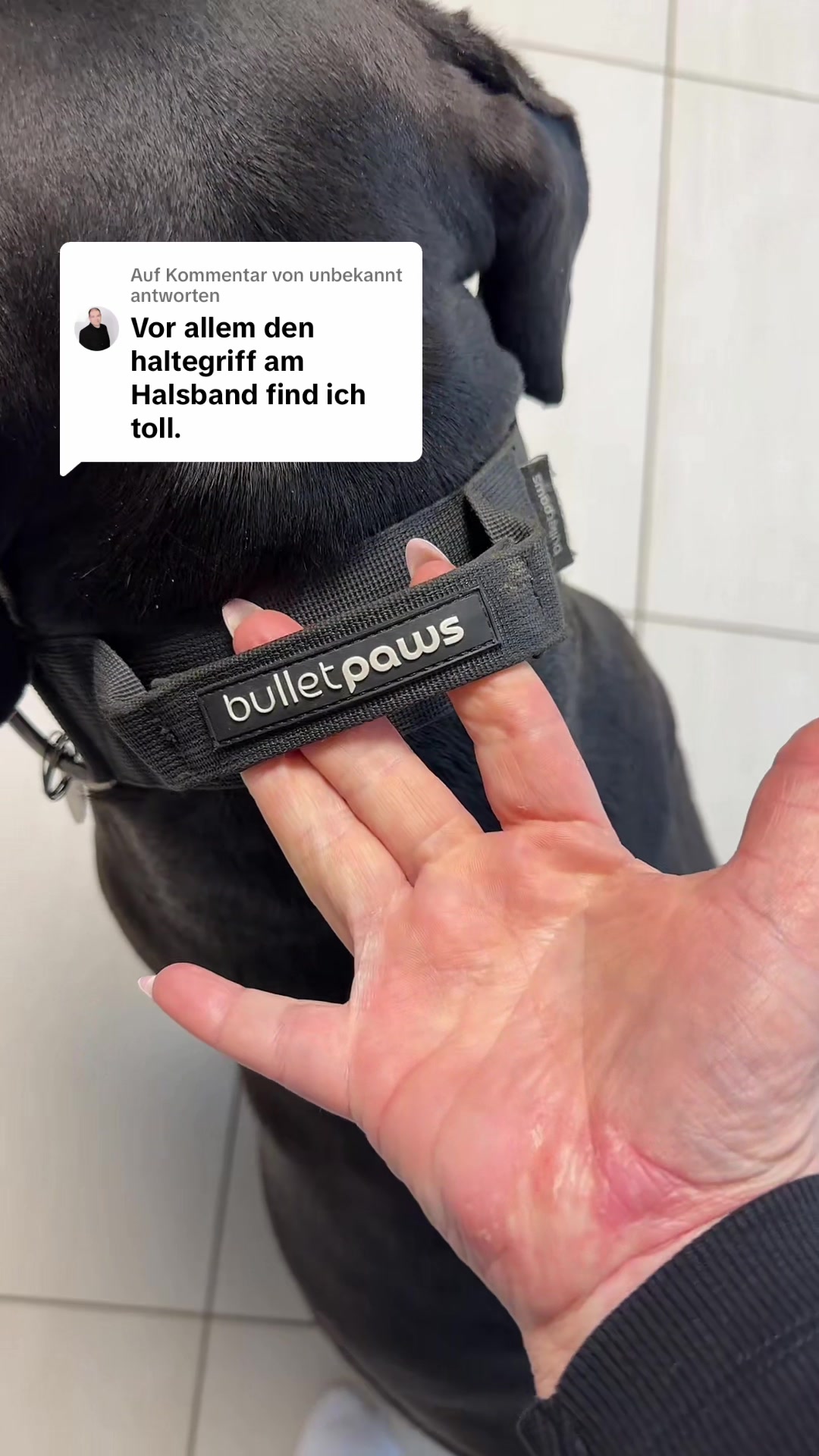 @Braunici