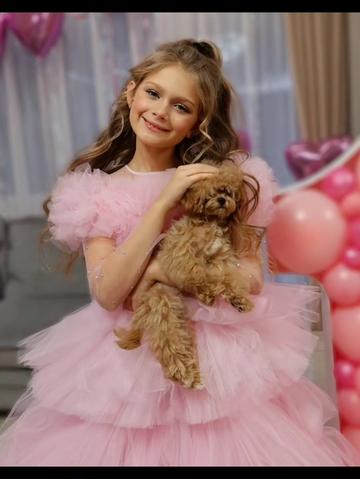 @kate_pomeranianl