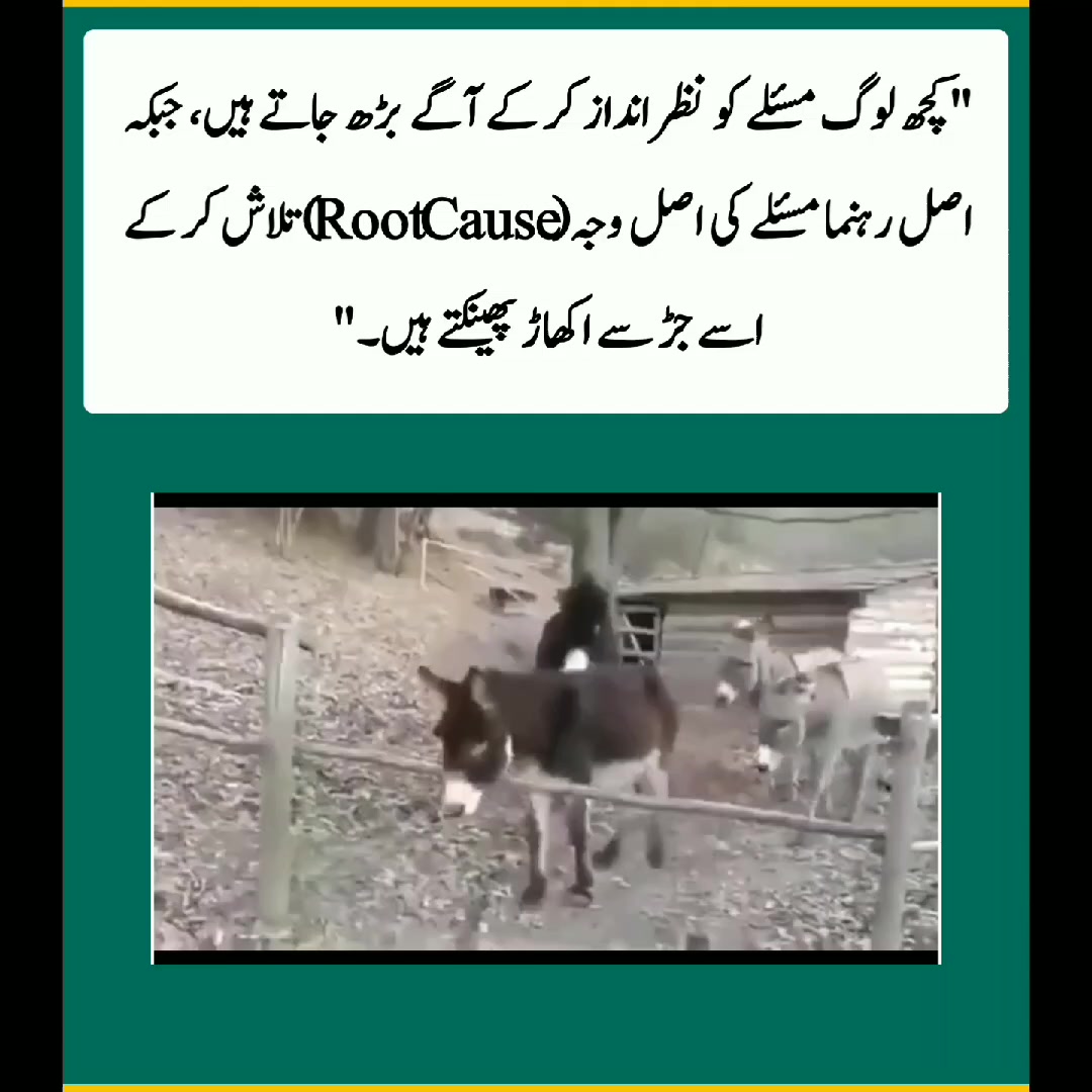 @Ghazi khail
