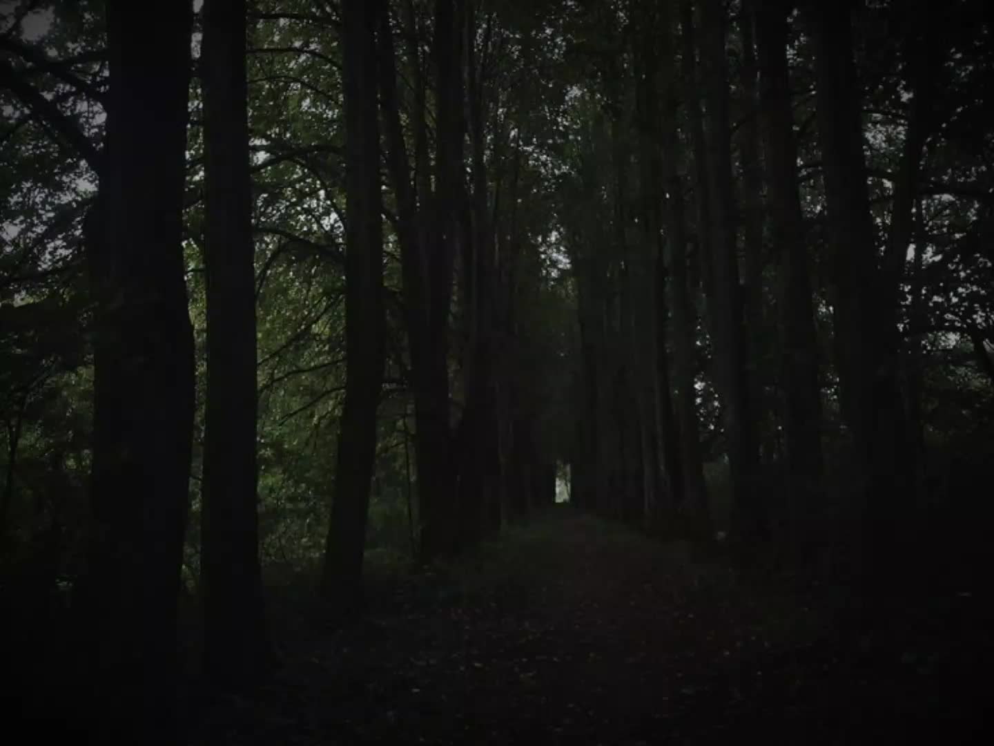 @реданчик