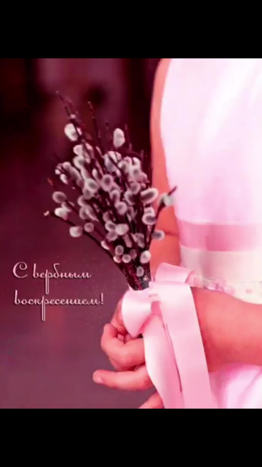 @Александра Алексеева